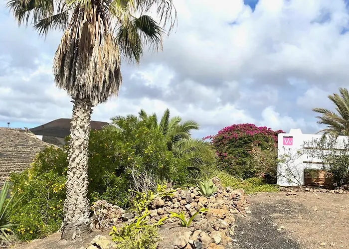 Villa Scenic Views, Heated Pool, Vineyard - Casa Mavi La Vegueta