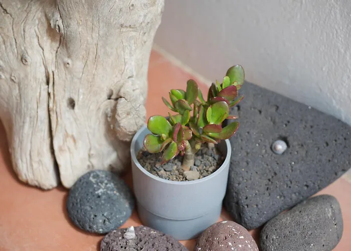 Scenic Views, Heated Pool, Vineyard - Casa Mavi Villa