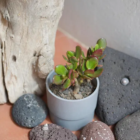 Casa Mavi - Vineyard With Heated Pool Villa