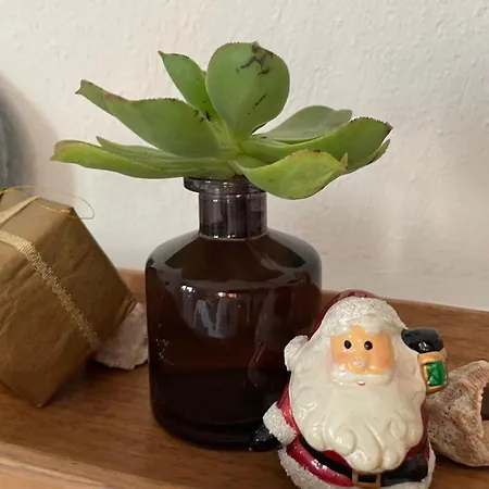 Casa Mavi - Vineyard With Heated Pool Villa *